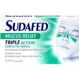 Cold - Phenylephrine Hydrochloride Medicines Sudafed Mucus Relief Triple Action 16pcs Tablet