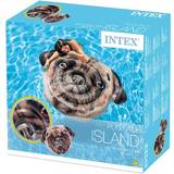 Dogs Outdoor Toys Intex Pug Face Island