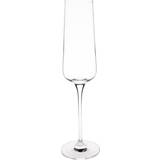Olympia Champagne Glasses Olympia Claro Champagne Glass 26cl 6pcs