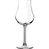 Chef & Sommelier Champagne Glasses Chef & Sommelier Open Up Champagne Glass 16.5cl 6pcs