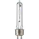 Dimmerable Xenon Lamps Philips Master CosmoWhite CPO-TW Xtra Xenon Lamp 60W PGZ12
