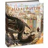 Harry potter illustrated Harry Potter and the Goblet of Fire (Hardcover, 2019)