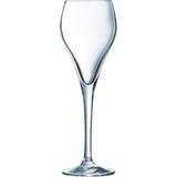Arcoroc Brio Champagne Glass 9.5cl 6pcs
