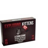 Luck & Risk Management - Party Games Board Games Exploding Kittens: NSFW Edition