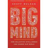 Big Mind (Paperback, 2019)