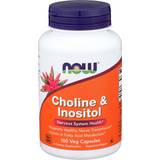 Now Foods Choline & Inositol 500mg 100 pcs