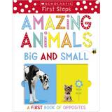 Amazing Animals Big and Small: A First Book of Opposites (Board Book, 2018)