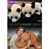 Nature's Miracle Babies [DVD]