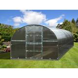 Dancover Titan Arch 320 30m² Stainless steel Polycarbonate