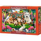 Castorland Pets in the Park 1000 Pieces