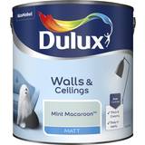 Dulux Ceiling Paints - Green Dulux Matt Wall Paint, Ceiling Paint Mint Macroon 2.5L