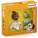 Toy Figures Schleich Wild Life Flash Cards 42474