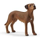 Dogs Toy Figures Schleich Rhodesian Ridgeback 13895