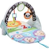 Baby Gyms Fisher Price 2 in 1 Flip & Fun Activity Gym