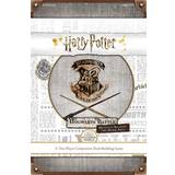 USAopoly Strategy Games Board Games USAopoly Harry Potter: Hogwarts Battle Defence Against the Dark Arts