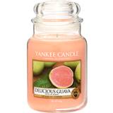 Yankee Candle Delicious Guava Large Scented Candle 623g
