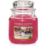 Yankee Candle Frosty Gingerbread Medium Scented Candle 411g