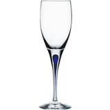 Orrefors Intermezzo White Wine Glass 19cl