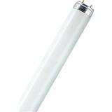 LEDVANCE Fluorescent Lamps LEDVANCE Lumilux T8 Fluorescent Lamp 30W G13 830