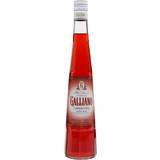 Galliano Beer & Spirits Galliano L´Aperitivo 24% 50cl