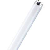 LEDVANCE Fluorescent Lamps LEDVANCE L Fluorescent Lamp 16W G13 827