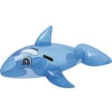Fishes Water Sports Bestway Whale Ride On 157cm