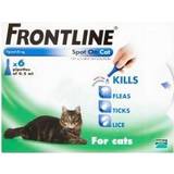 Frontline spot on flea & tick treatment for cats Frontline Spot On