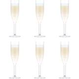 Bodum Champagne Glasses Bodum Oktett Champagne Glass 12cl 6pcs