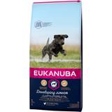 Eukanuba Pets Eukanuba Developing Junior Large Breed with Chicken 15kg