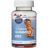 Blueberry Vitamins & Minerals Livol Vitamin Gummies Fruit 75 pcs