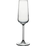 Pasabahce Allegra Champagne Glass 19.5cl 6pcs