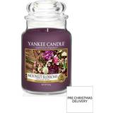 Purple Scented Candles Yankee Candle Moonlit Blossoms Large Scented Candle 623g