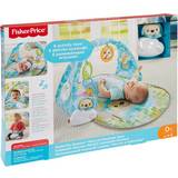 Fisher Price Butterfly Dreams Musical Playtime Gym