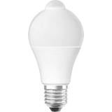 LEDVANCE ST CLAS A 60 Incandescent Lamps 9W E27