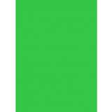 Colorama Photo Backgrounds Colorama Colormatt Background 1x1.3m Spring Green