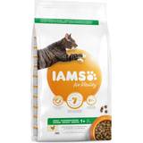 IAMS Cats Pets IAMS Pro Active Health Adult Chicken
