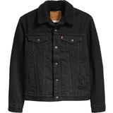 Levi's Outerwear Levi's Sherpa Trucker Jacket - Berk Black