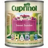 Cuprinol Pink Paint Cuprinol Garden Shades Wood Paint Sweet Sundae 1L