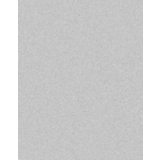 Colorama Colormatt Background 1x1.3m Dove Grey