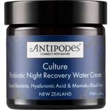 BHA Acid - Moisturisers Facial Creams Antipodes Culture Probiotic Night Recovery Water Cream 60ml