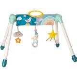 Baby Gyms Taf Toys Mini Moon Take To Play