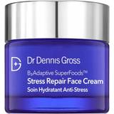 Dr Dennis Gross Facial Creams Dr Dennis Gross B3 Adaptive SuperFoods Stress Repair Face Cream 60ml