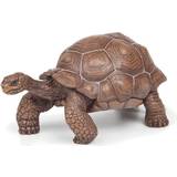 Turtles Toy Figures Papo Galapagos Tortoise