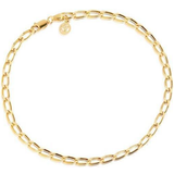 Women Anklets Sif Jakobs Cheval Anklet - Gold