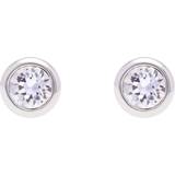 Earrings Ted Baker Sinaa Studs - Silver/Transparent
