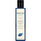 Phyto Shampoos Phyto PhytoCédrat Purifying Treatment Shampoo 250ml