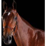 Stable Rugs Bridles & Accessories Collegiate Comfitec Crystal Bridle