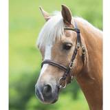 Exercise Rugs Bridles & Accessories Shires Blenheim Clincher Inhand Bridle