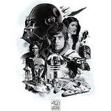 Posters on sale Pyramid International Montage Star Wars 40th Anniversary Poster 61x91.5cm