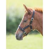 Red Horse Halters Shires Foal Headcollar